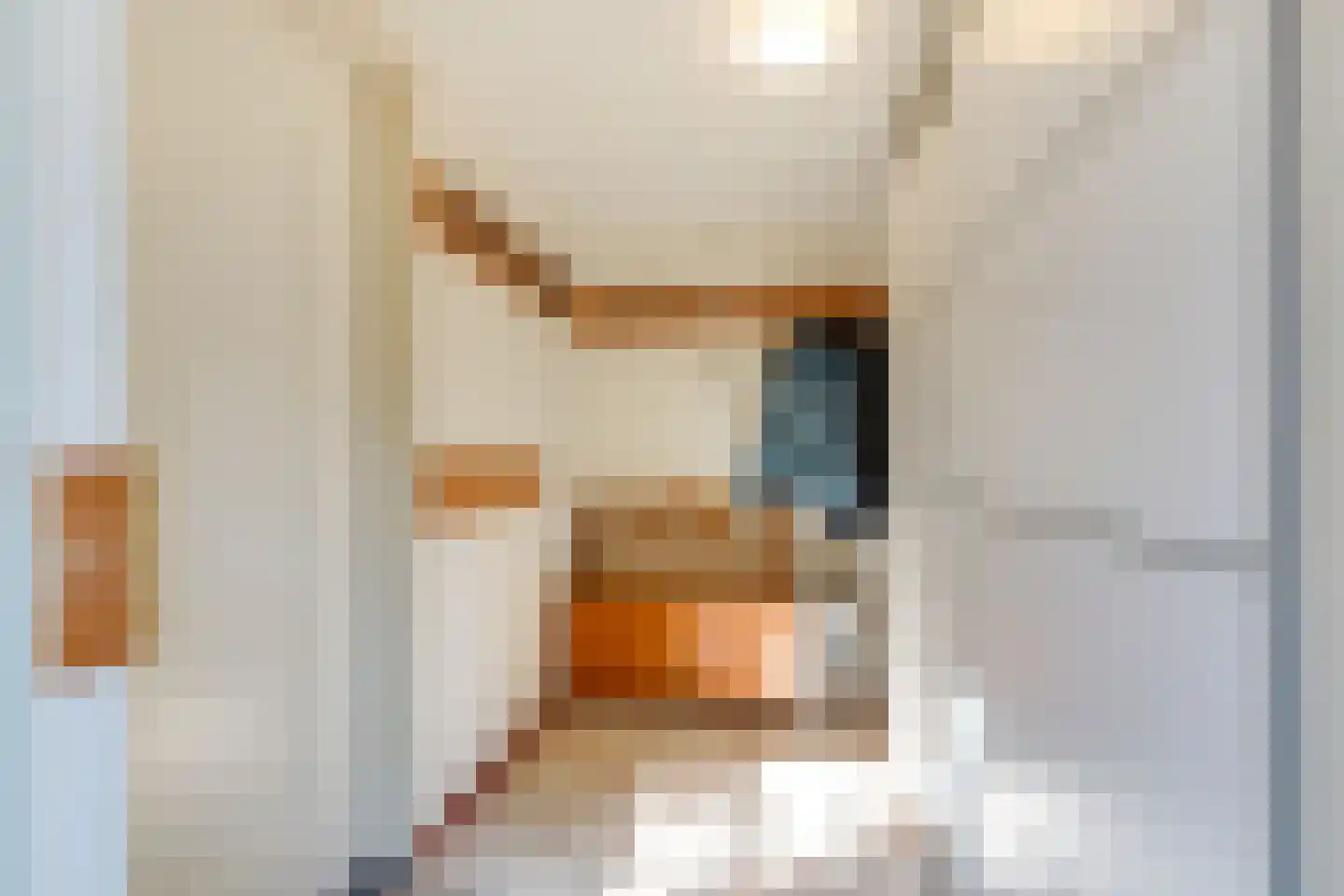 Albast 21 Heerhugowaard thumbnail 39