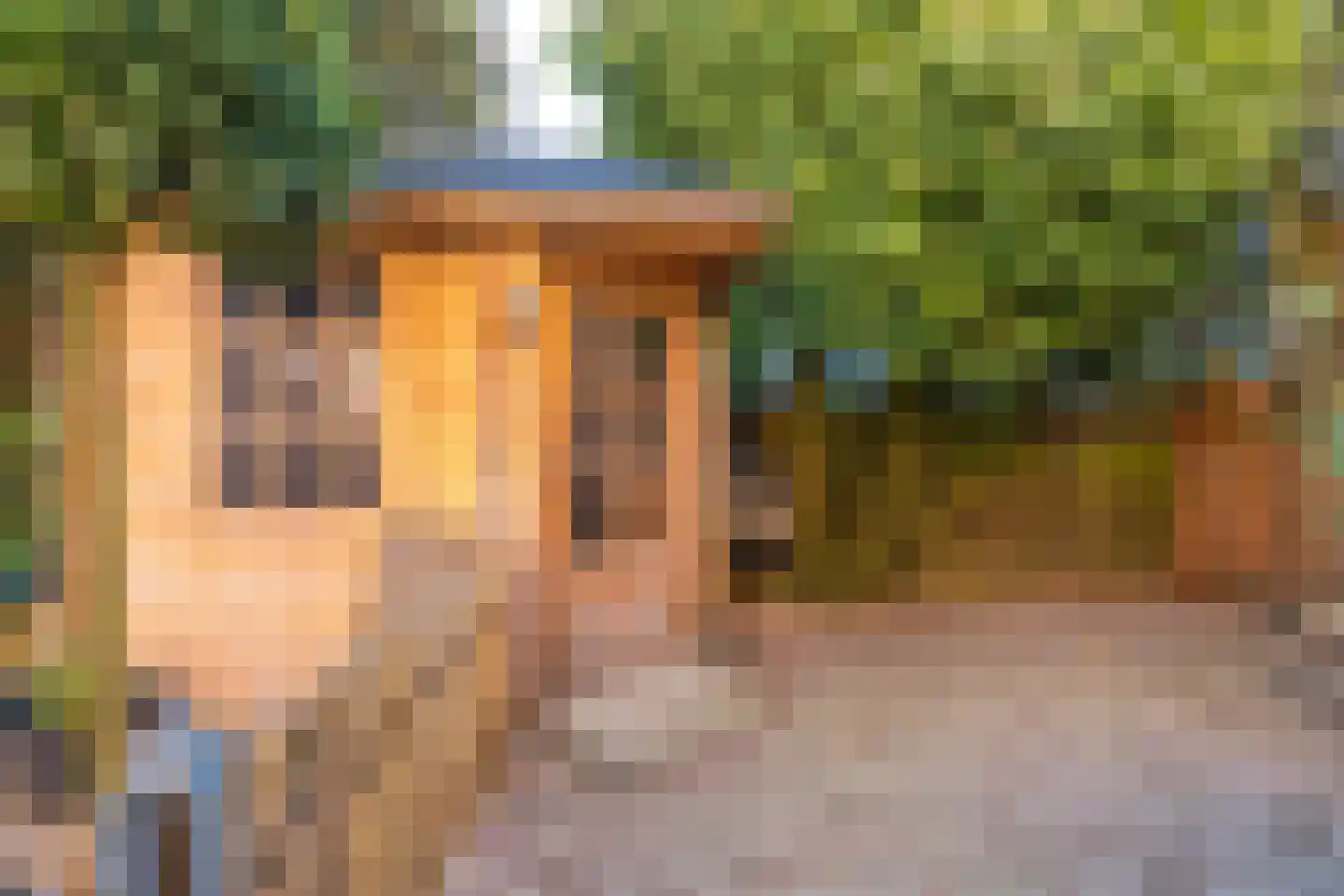 Albast 21 Heerhugowaard thumbnail 8