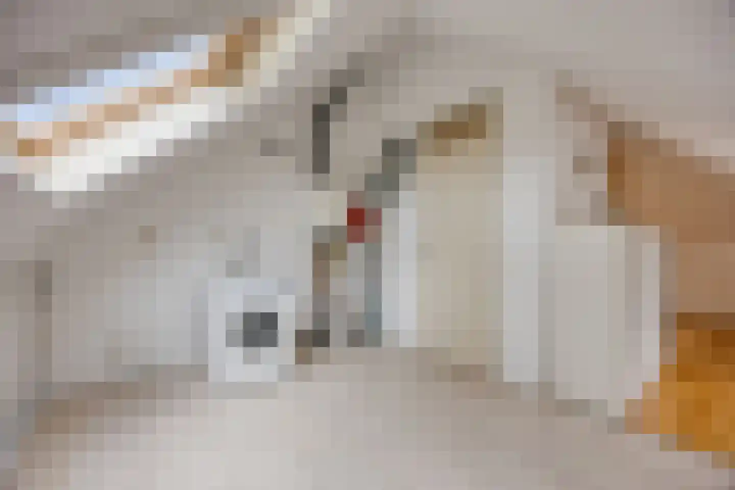 Albast 27 Zoetermeer thumbnail 28