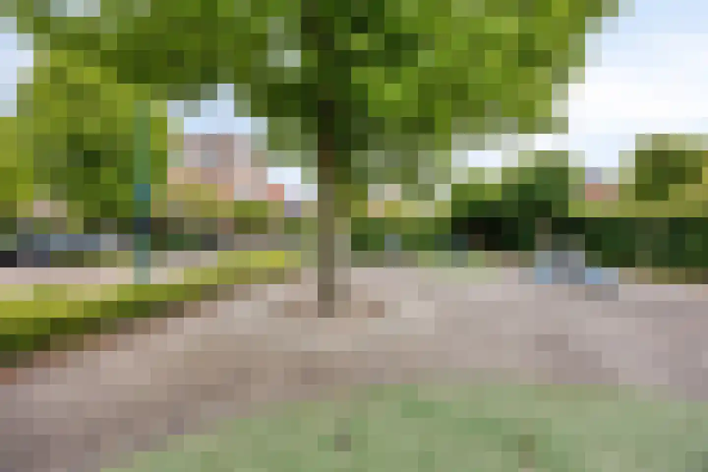 Albast 27 Zoetermeer thumbnail 37