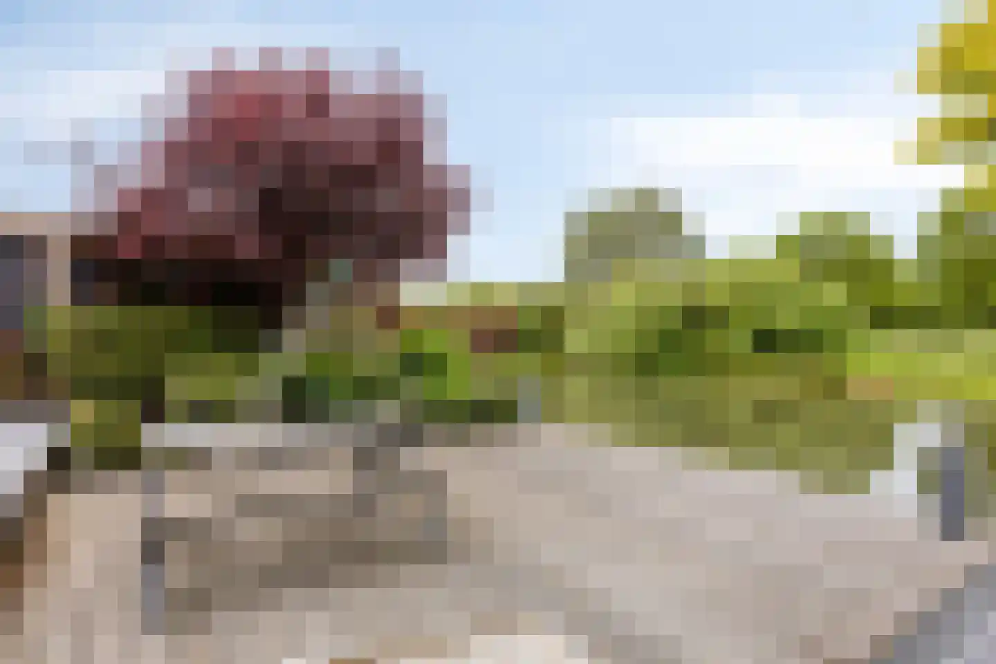 Albast 27 Zoetermeer thumbnail 5