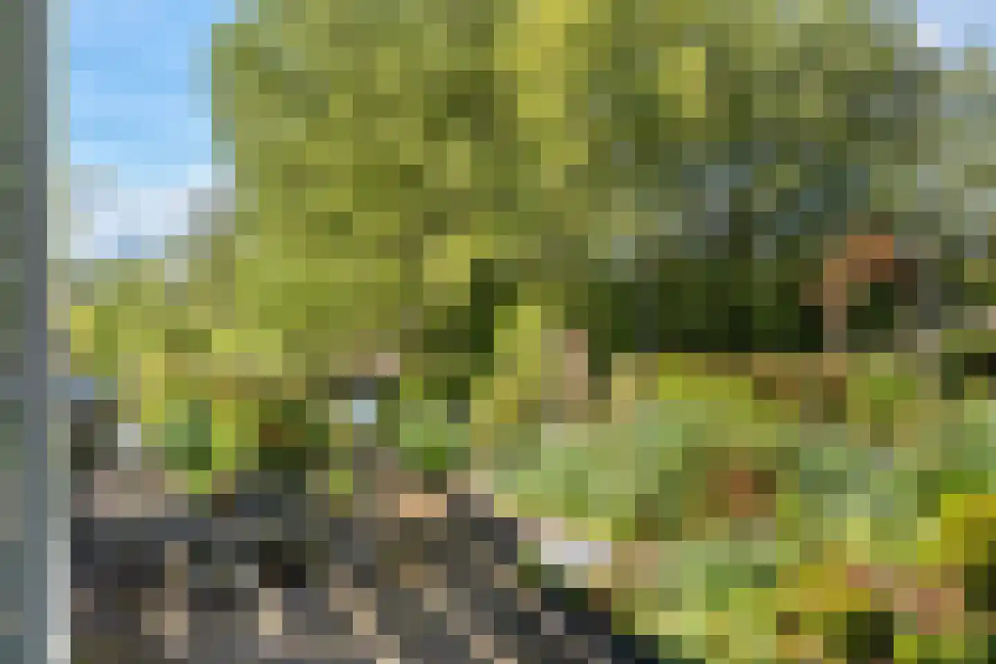 Albast 43 Zoetermeer thumbnail 24