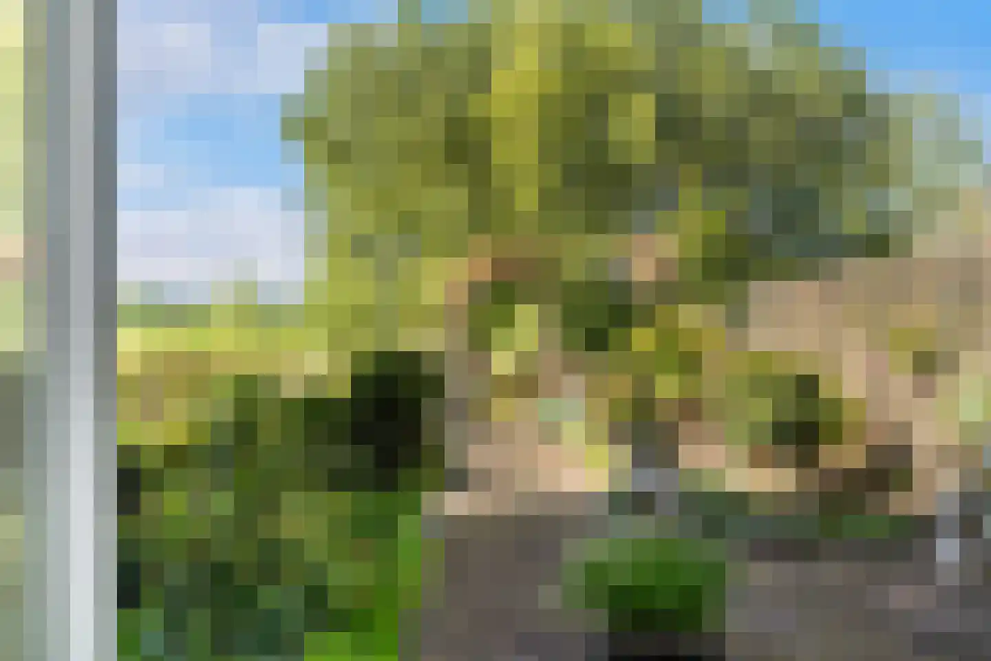 Albast 43 Zoetermeer thumbnail 25