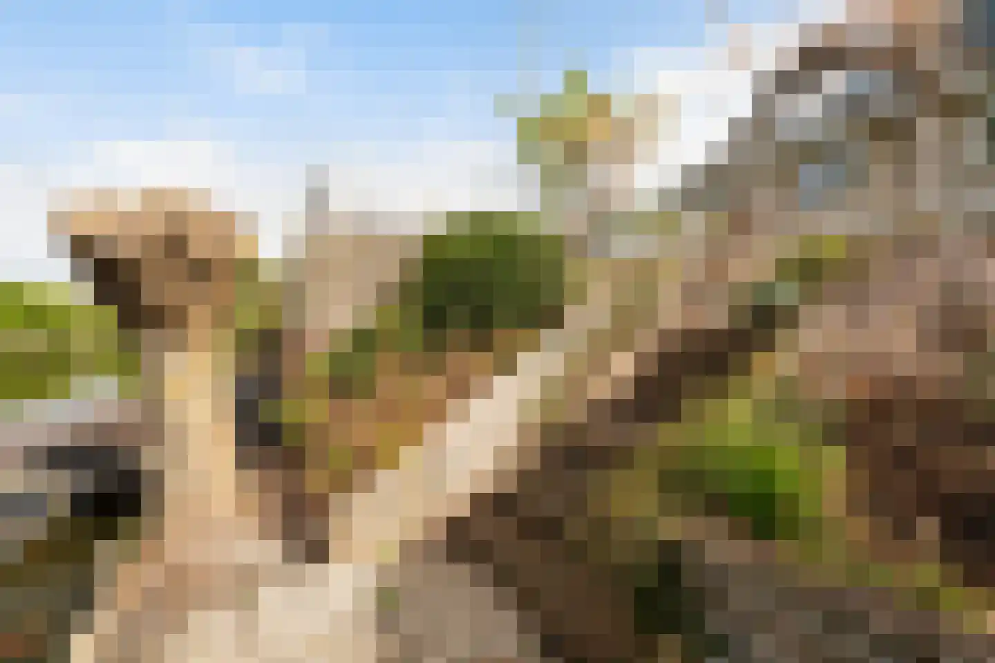 Albast 43 Zoetermeer thumbnail 26