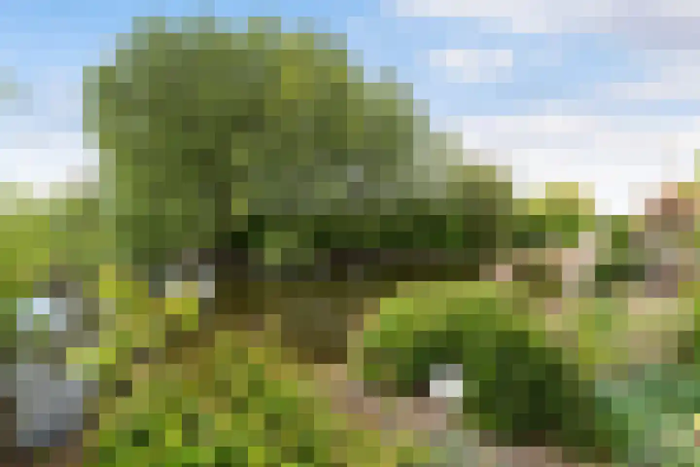 Albast 43 Zoetermeer thumbnail 27