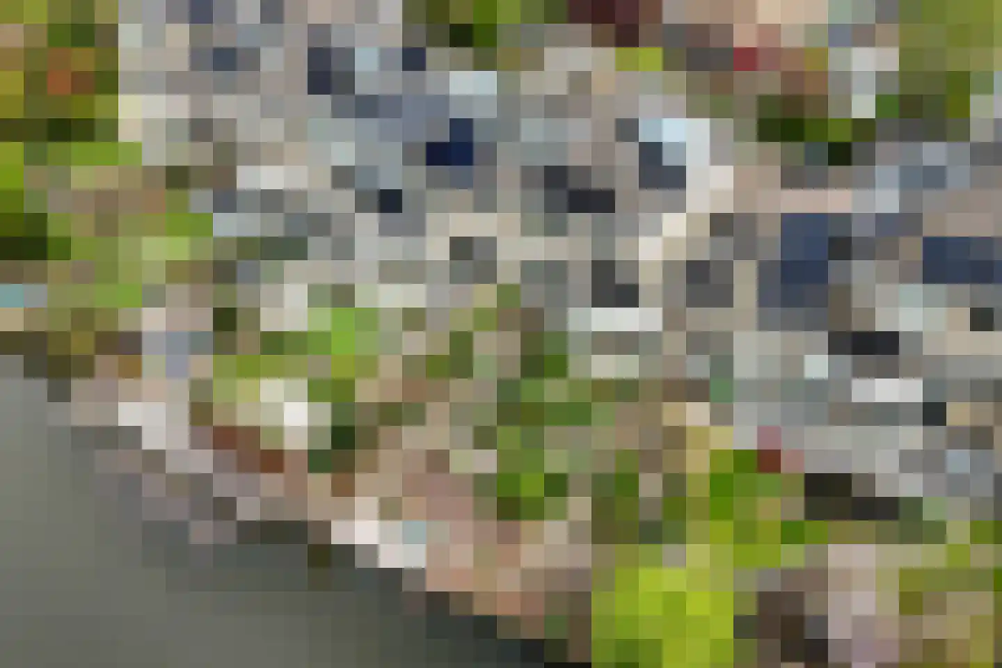 Albast 43 Zoetermeer thumbnail 29