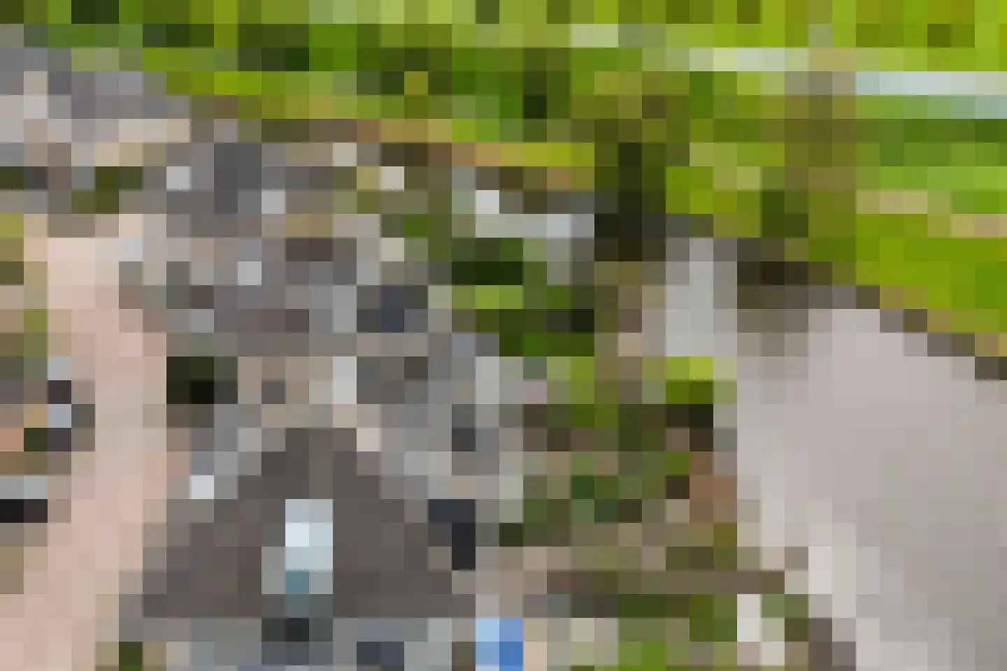 Albast 43 Zoetermeer thumbnail 30