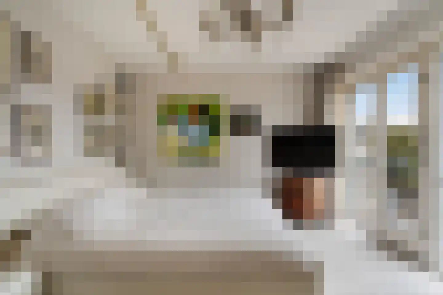 Albast 43 Zoetermeer thumbnail 33
