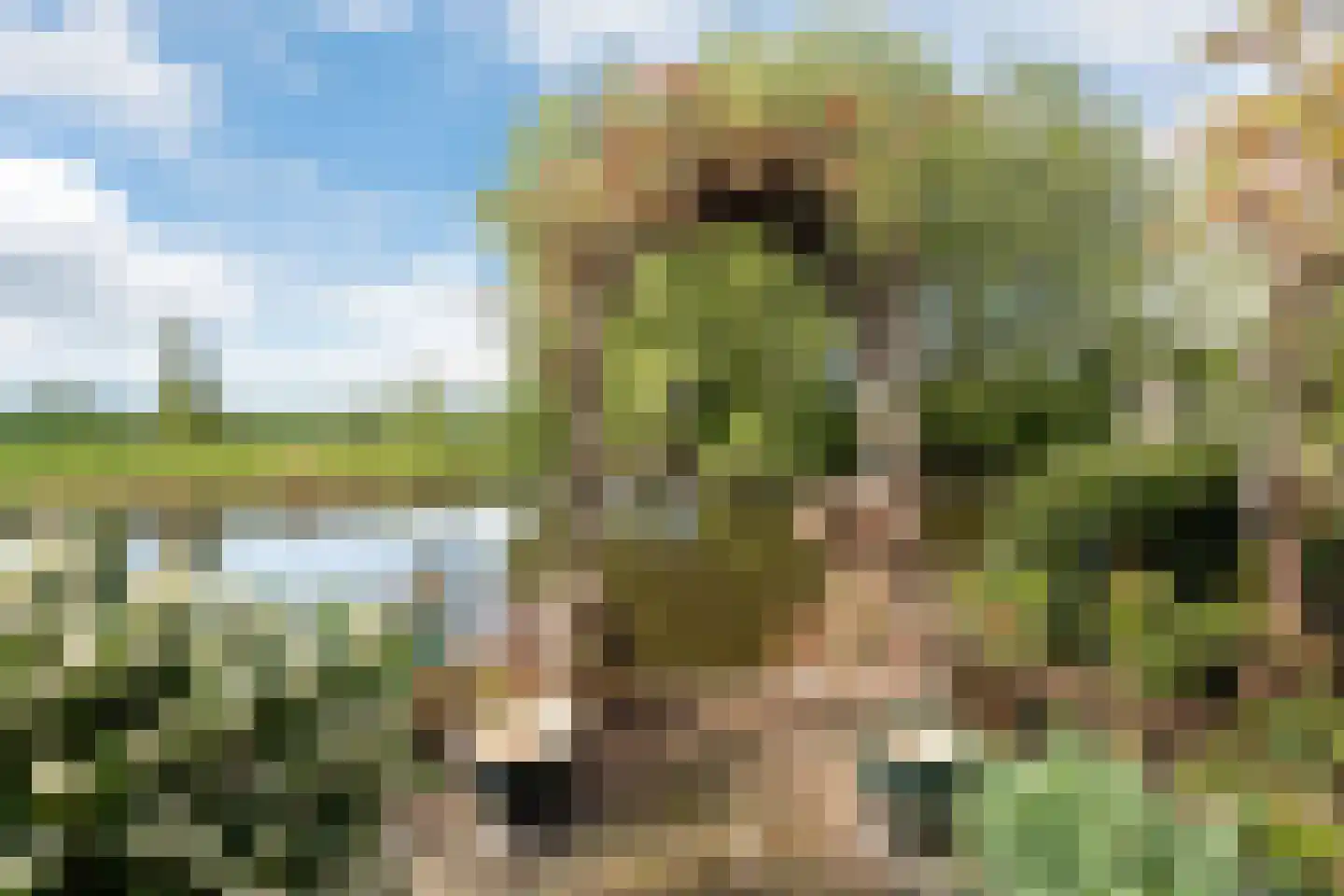 Albast 43 Zoetermeer thumbnail 5
