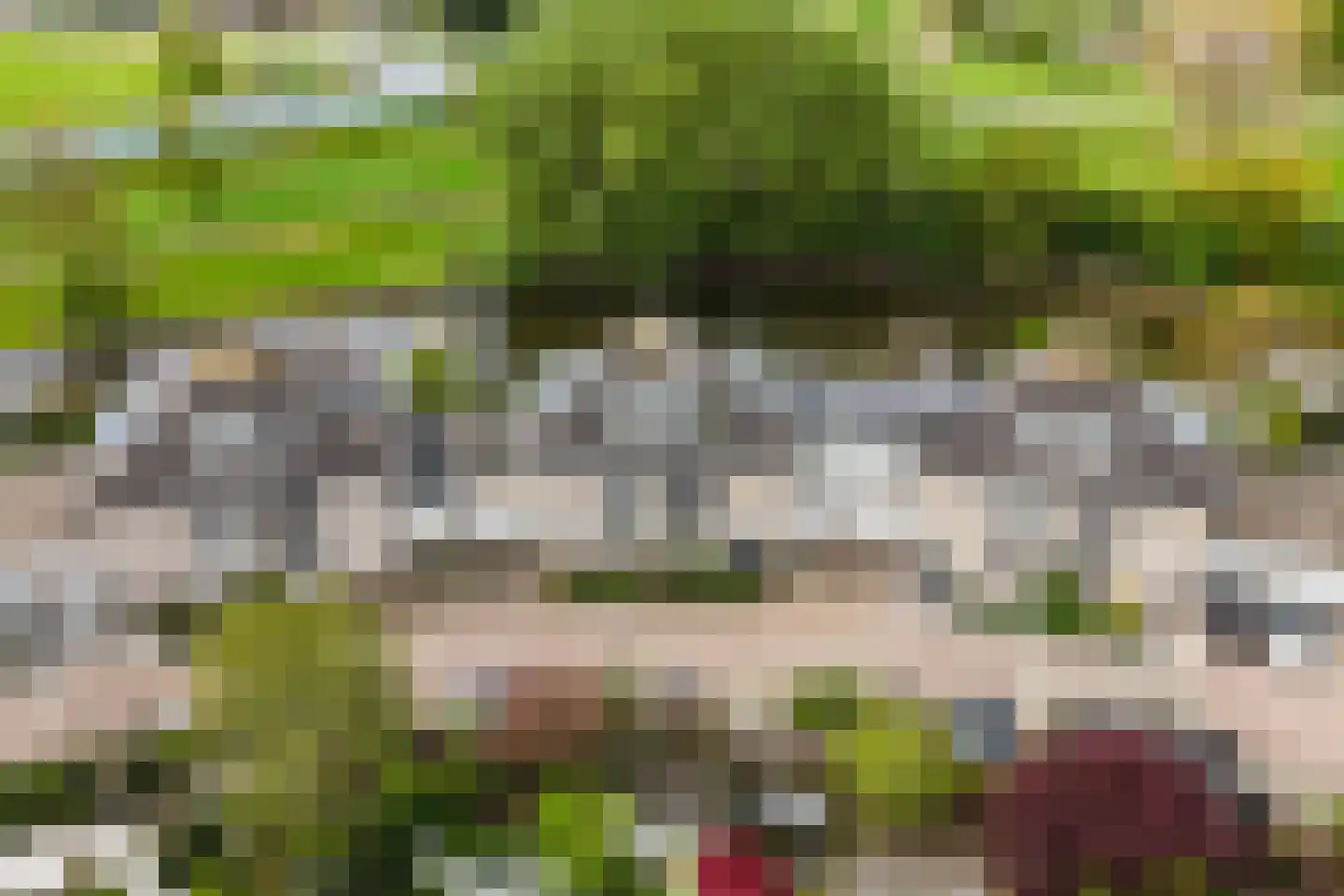 Albast 43 Zoetermeer thumbnail 52