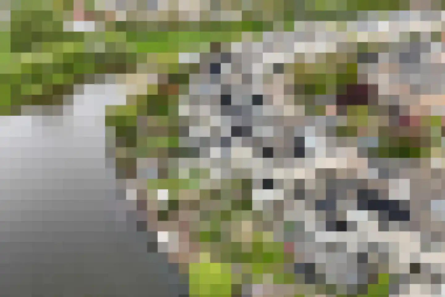 Albast 43 Zoetermeer thumbnail 6