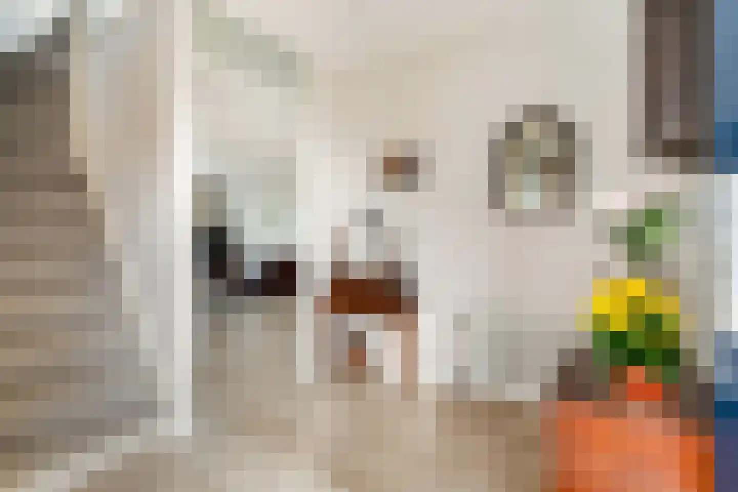 Albast 43 Zoetermeer thumbnail 8