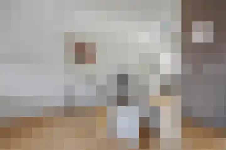 Albast 48 Zoetermeer thumbnail 16