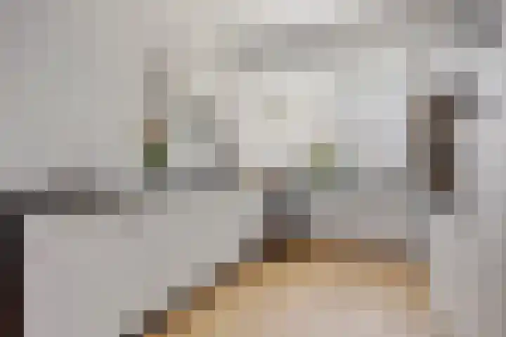 Albast 48 Zoetermeer thumbnail 17