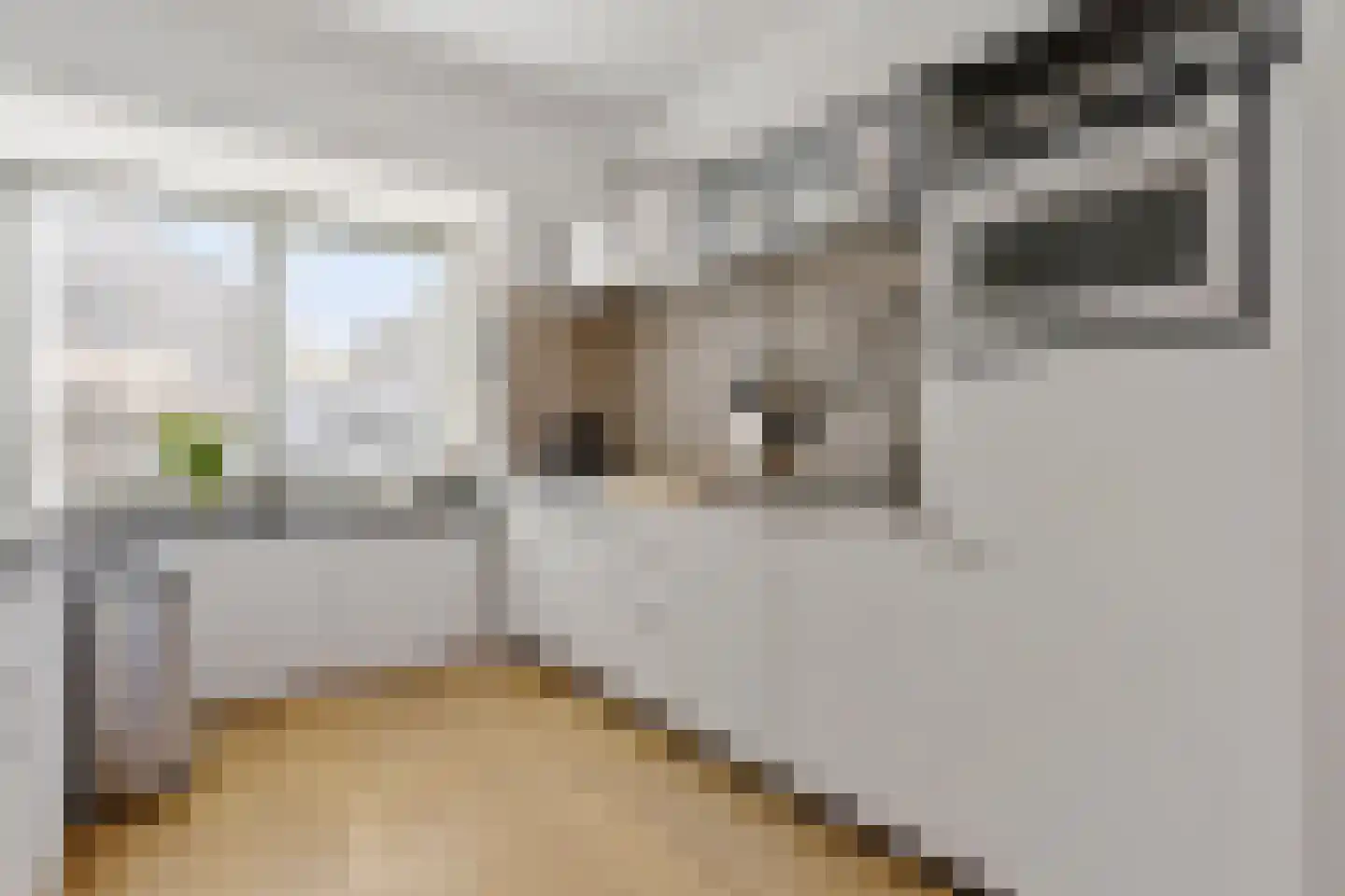 Albast 48 Zoetermeer thumbnail 18