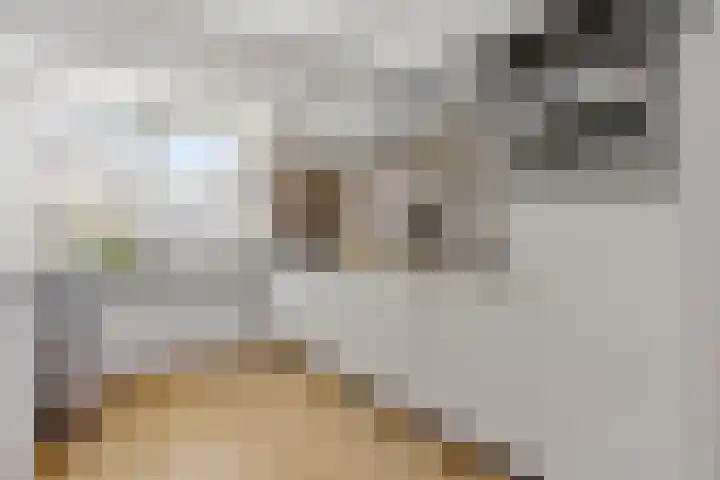 Albast 48 Zoetermeer thumbnail 18