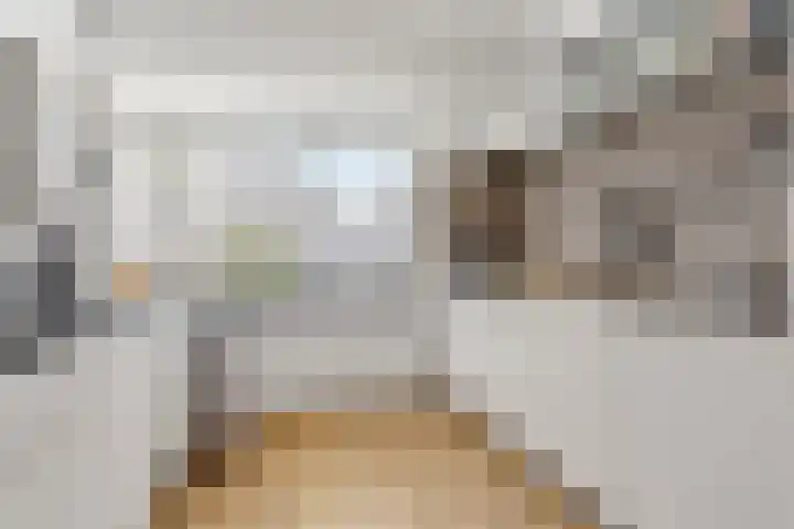 Albast 48 Zoetermeer thumbnail 19