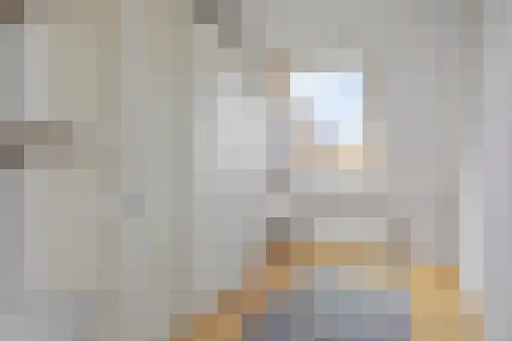 Albast 48 Zoetermeer thumbnail 22