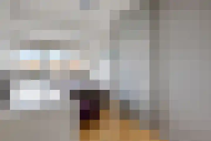 Albast 48 Zoetermeer thumbnail 24