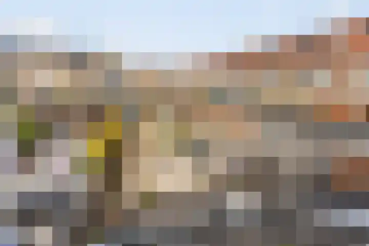Albast 48 Zoetermeer thumbnail 26