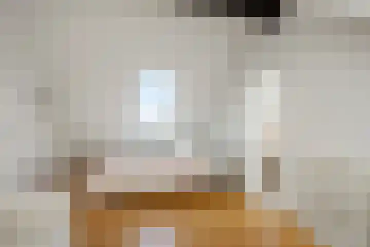 Albast 48 Zoetermeer thumbnail 33