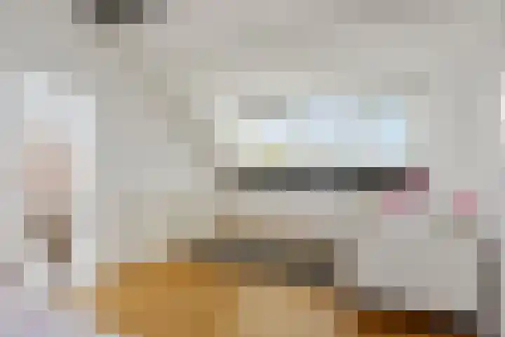 Albast 48 Zoetermeer thumbnail 34