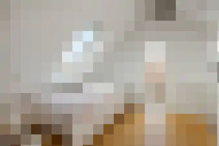 Albast 48 Zoetermeer thumbnail 35