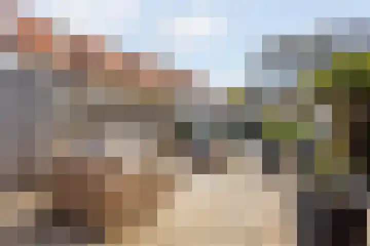 Albast 48 Zoetermeer thumbnail 40