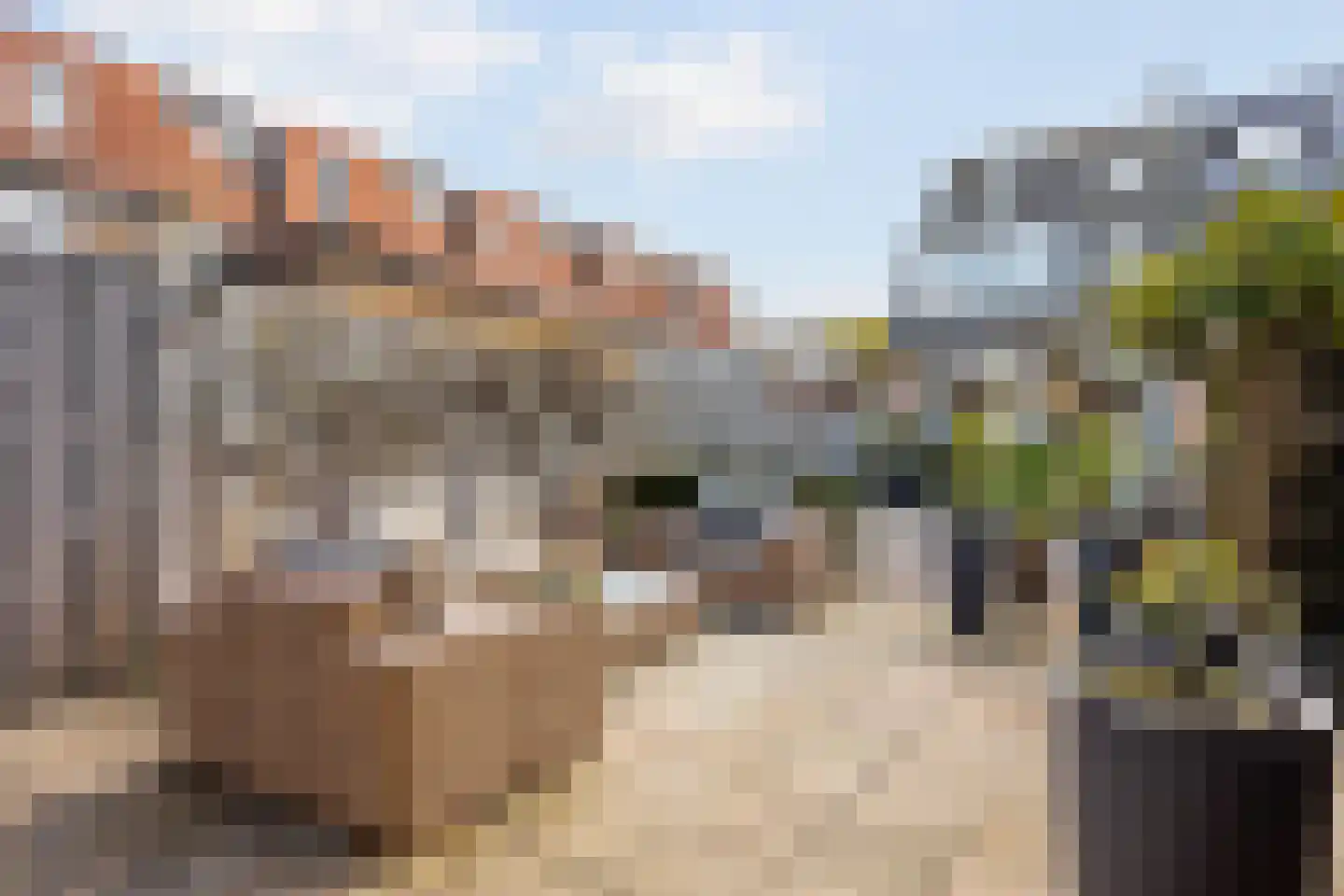 Albast 48 Zoetermeer thumbnail 40