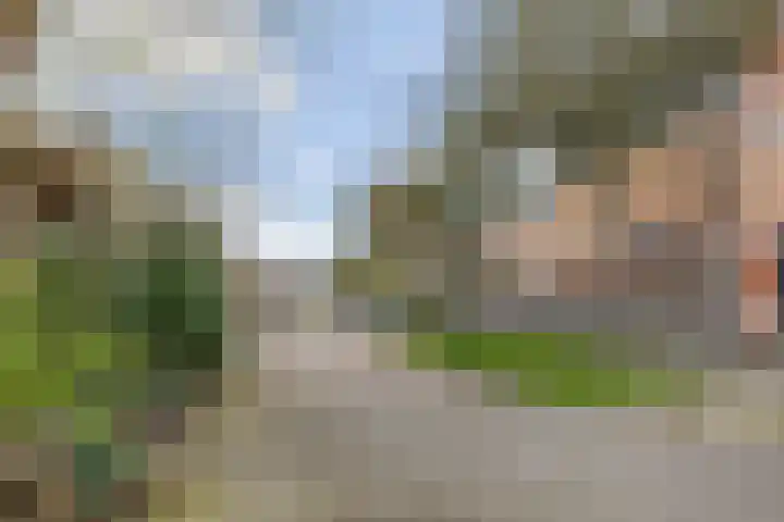 Albast 48 Zoetermeer thumbnail 46
