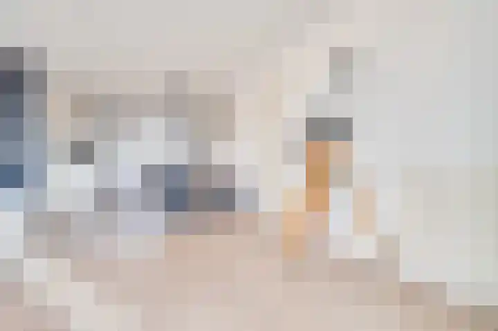 Albast 6 Heerhugowaard thumbnail 5