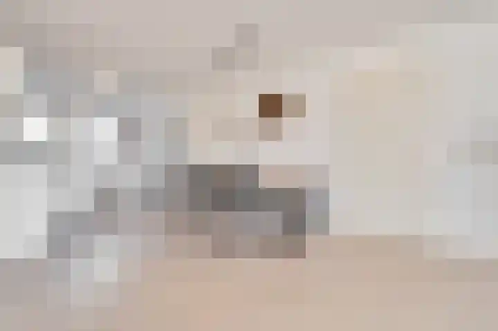 Albast 6 Heerhugowaard thumbnail 6