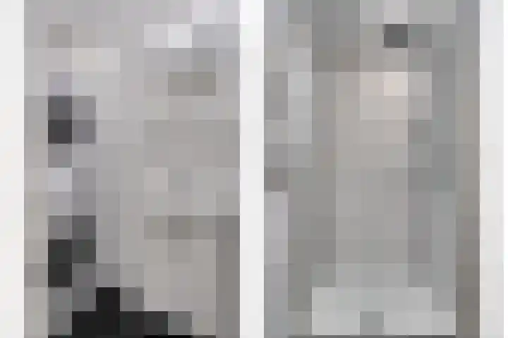 Albastdijk 35 Roosendaal thumbnail 28