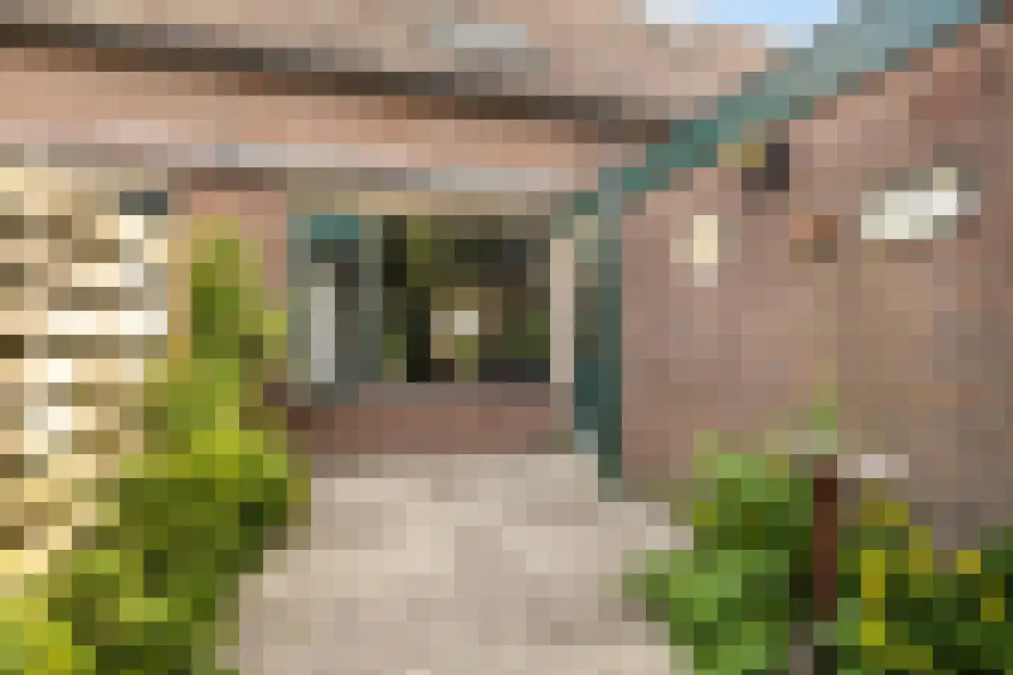 Albatros 3 Nieuwegein thumbnail 30