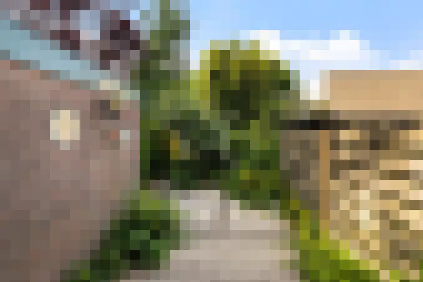 Albatros 3 Nieuwegein thumbnail 32