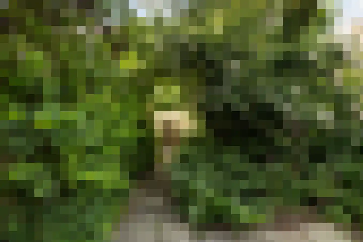 Albatros 3 Nieuwegein thumbnail 33