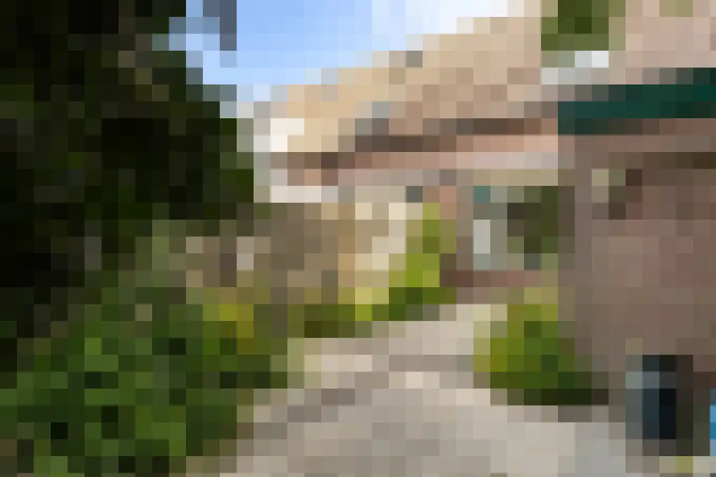Albatros 3 Nieuwegein thumbnail 5