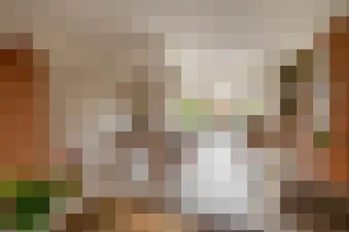 Albatroshoek 25 Spijkenisse thumbnail 15