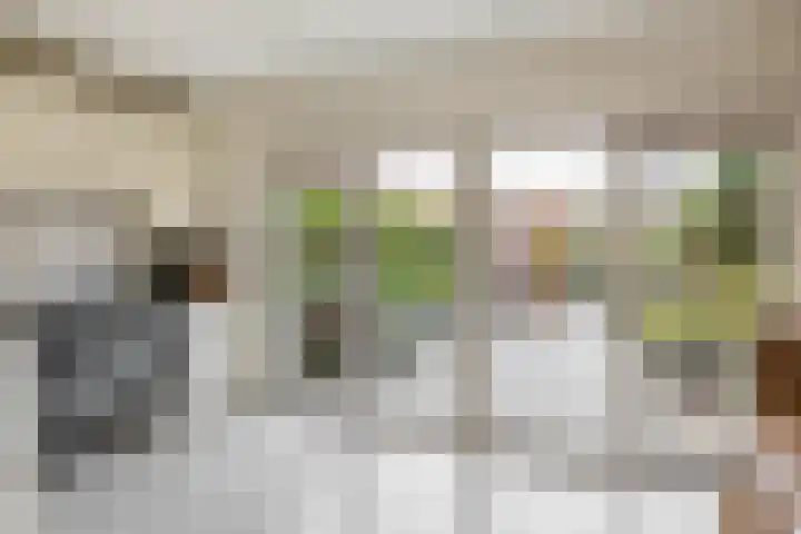 Albatroshoek 25 Spijkenisse thumbnail 20