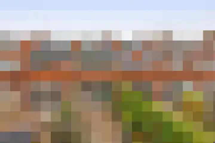 Albatroshoek 25 Spijkenisse thumbnail 22