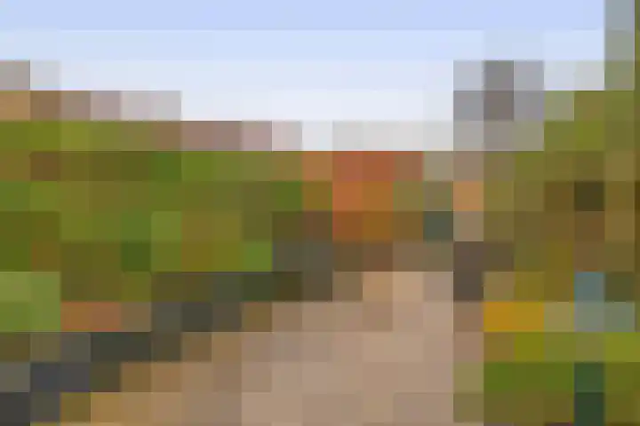 Albatroshoek 25 Spijkenisse thumbnail 23