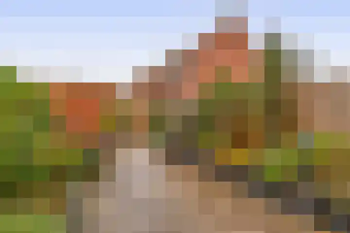 Albatroshoek 25 Spijkenisse thumbnail 24