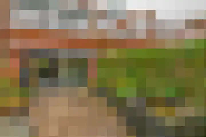 Albatroshoek 25 Spijkenisse thumbnail 26