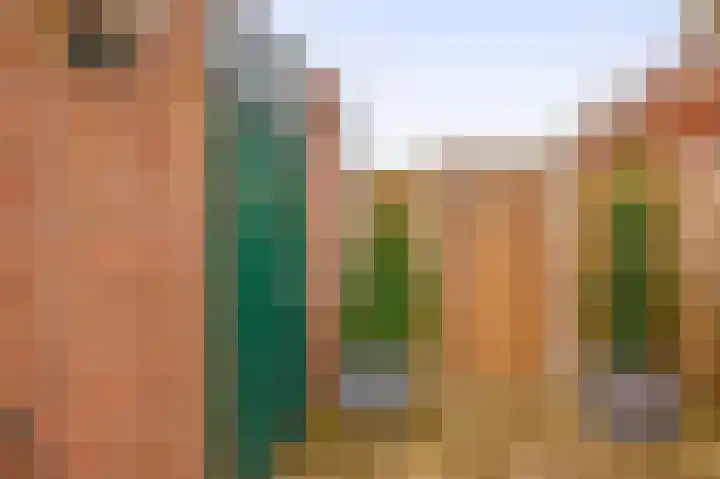 Albatroshoek 25 Spijkenisse thumbnail 27