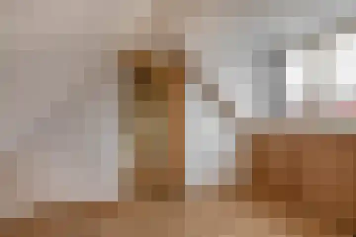 Albatroshoek 25 Spijkenisse thumbnail 39