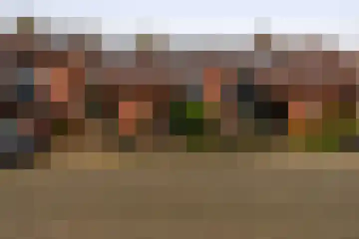 Albatroshoek 25 Spijkenisse thumbnail 5