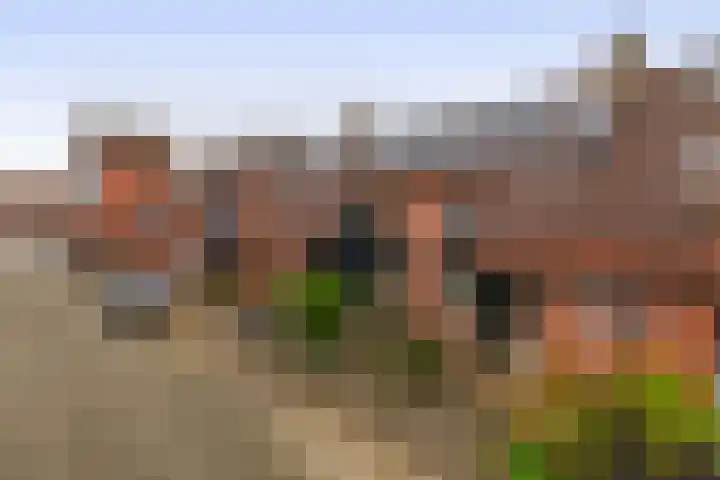 Albatroshoek 25 Spijkenisse thumbnail 6