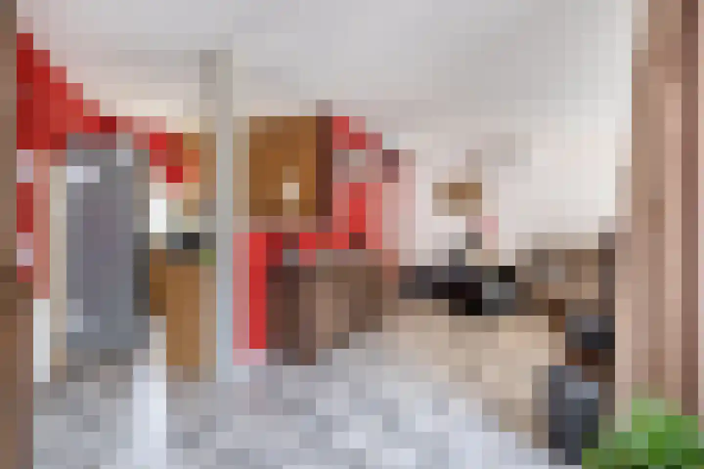 Albatroshoek 8 Spijkenisse thumbnail 19
