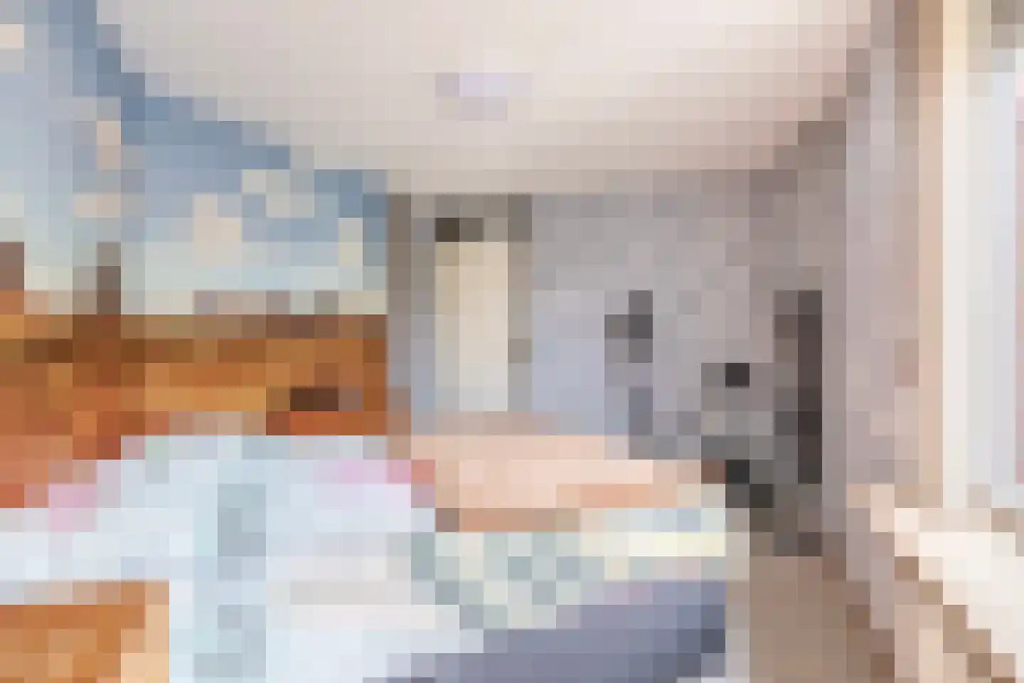 Albatroshoek 8 Spijkenisse thumbnail 31