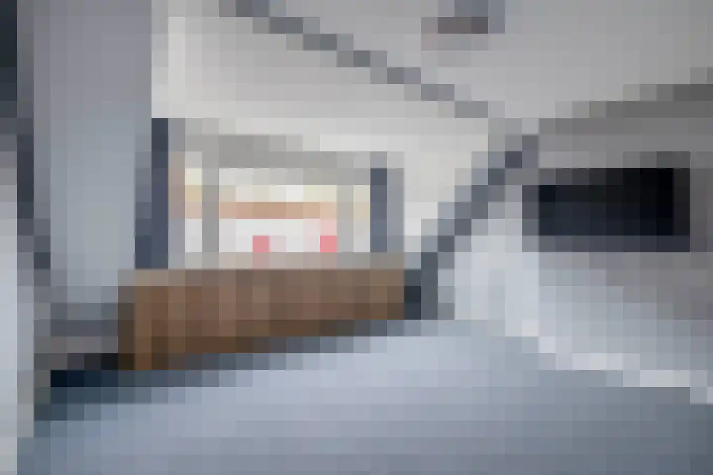 Albatroshoek 8 Spijkenisse thumbnail 35
